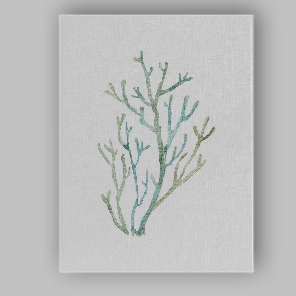 Seafoam Green Branch Coral Watercolour Coastal Illustration Canvas Wall Art Print Decor Picture Ready to Hang