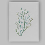 Seafoam Green Branch Coral Watercolour Coastal Illustration Canvas Wall Art Print Decor Picture Ready to Hang