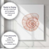 Blush Spiral Nautilus Seashell Watercolour Coastal Illustration Canvas Wall Art Print Decor Picture Ready to Hang