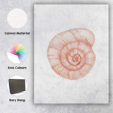 Blush Spiral Nautilus Seashell Watercolour Coastal Illustration Canvas Wall Art Print Decor Picture Ready to Hang