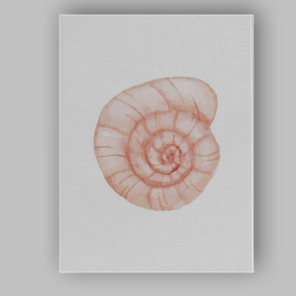 Blush Spiral Nautilus Seashell Watercolour Coastal Illustration Canvas Wall Art Print Decor Picture Ready to Hang