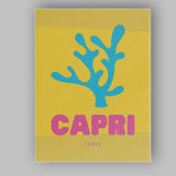 Minimalist Capri Coral Seaweed Travel Poster Canvas Wall Art Print Decor Picture Ready to Hang