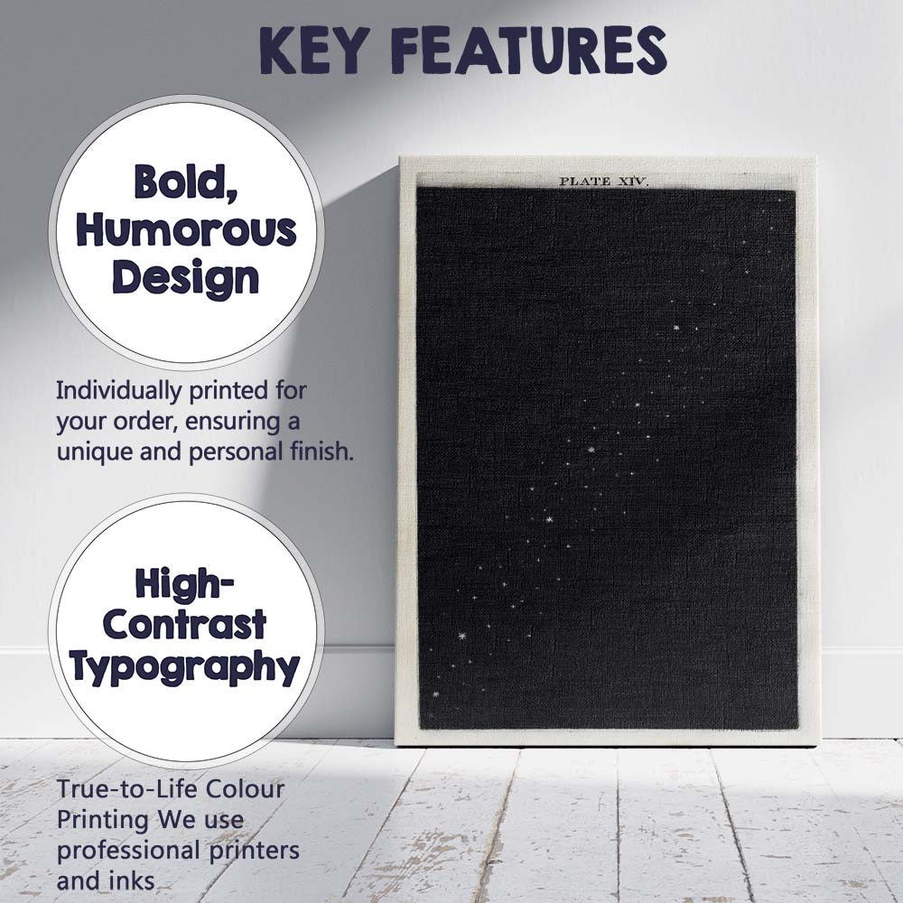 Antique Starry Night Sky Celestial Astronomy Engraving Canvas Wall Art Print Decor Picture Ready to Hang