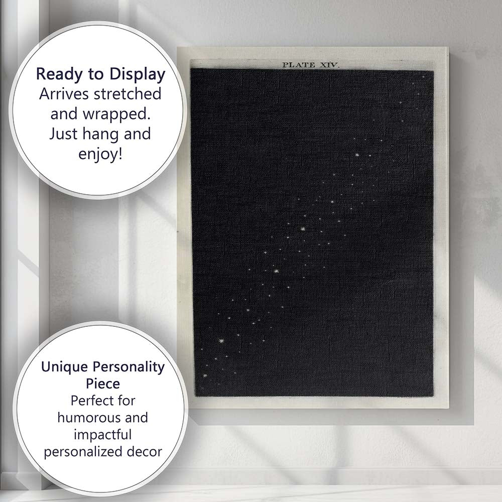 Antique Starry Night Sky Celestial Astronomy Engraving Canvas Wall Art Print Decor Picture Ready to Hang