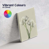 Soft White Ranunculus Floral Minimalist Botanical Still Life Canvas Wall Art Print Decor Picture Ready to Hang
