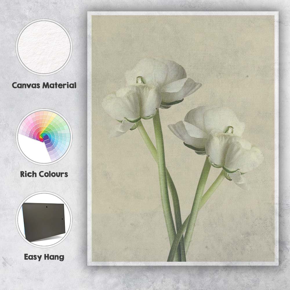 Soft White Ranunculus Floral Minimalist Botanical Still Life Canvas Wall Art Print Decor Picture Ready to Hang