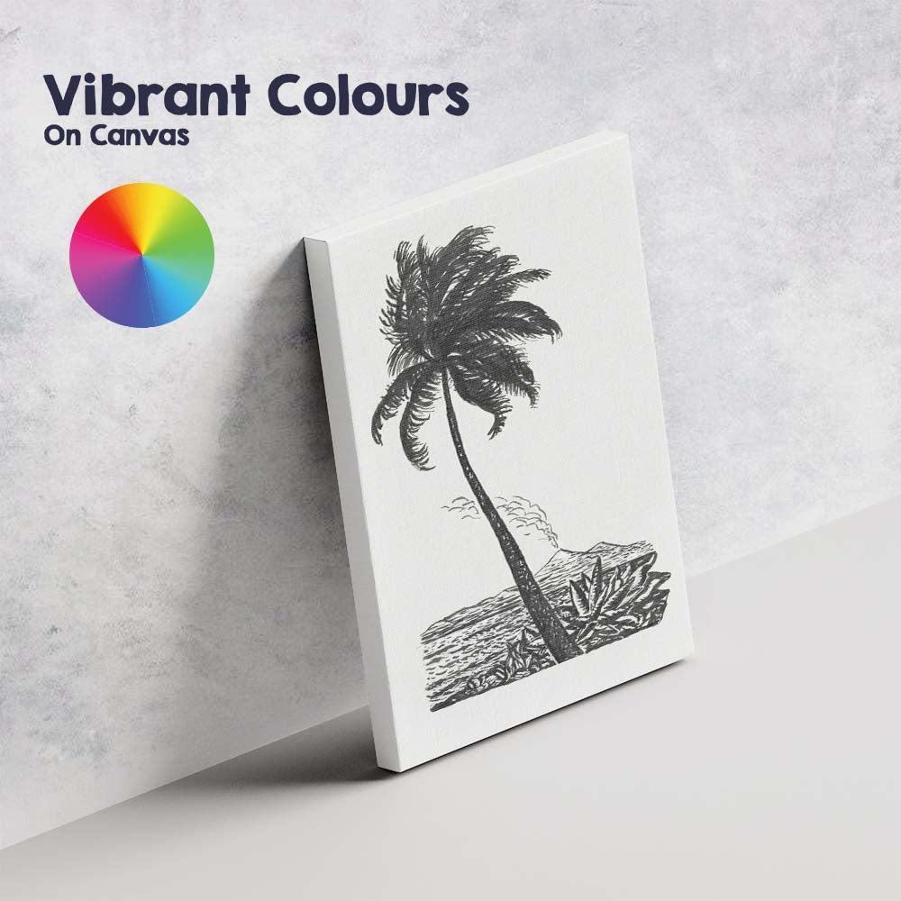 Minimalist Tropical Palm Tree Coastal Landscape Ink Illustration Canvas Wall Art Print Decor Picture Ready to Hang