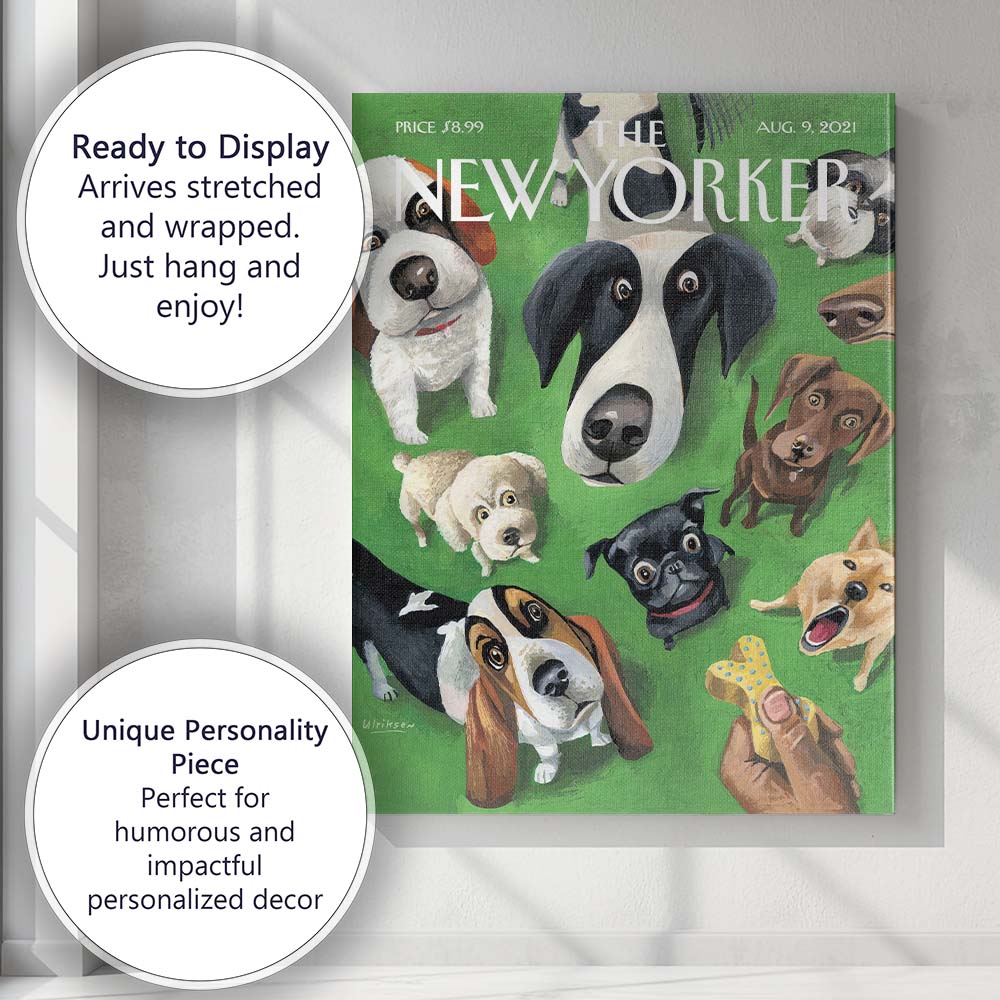 Playful Dogs Looking Up Pet Portrait Illustration Canvas Wall Art Print Decor Picture Ready to Hang