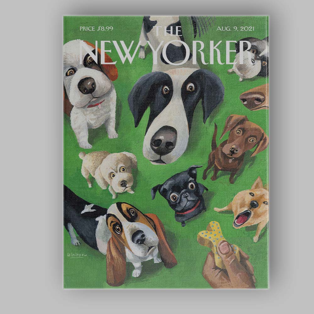 Playful Dogs Looking Up Pet Portrait Illustration Canvas Wall Art Print Decor Picture Ready to Hang