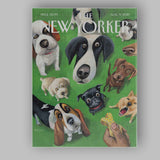 Playful Dogs Looking Up Pet Portrait Illustration Canvas Wall Art Print Decor Picture Ready to Hang