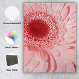 Soft Pink Gerbera Daisy Macro Floral Photography Canvas Wall Art Print Decor Picture Ready to Hang