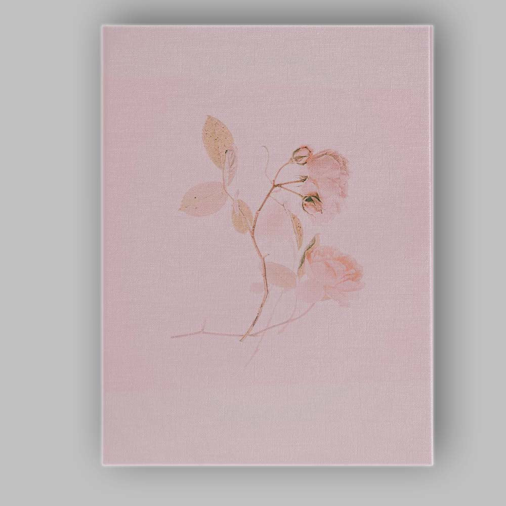 Soft Blush Pink Rose Botanical Minimalist Photography Canvas Wall Art Print Decor Picture Ready to Hang