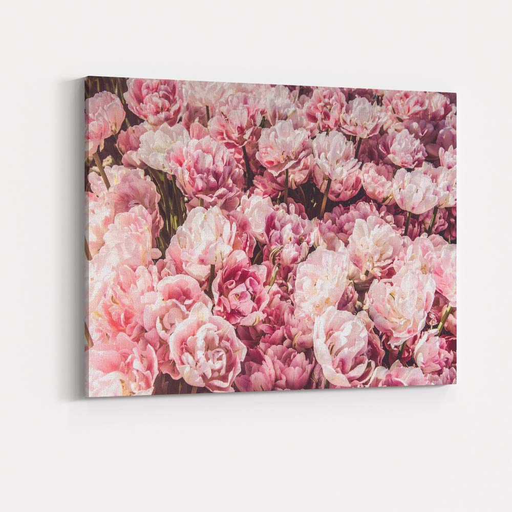 Soft Pink Double Tulip Flower Field Photography Canvas Wall Art Print Decor Picture Ready to Hang
