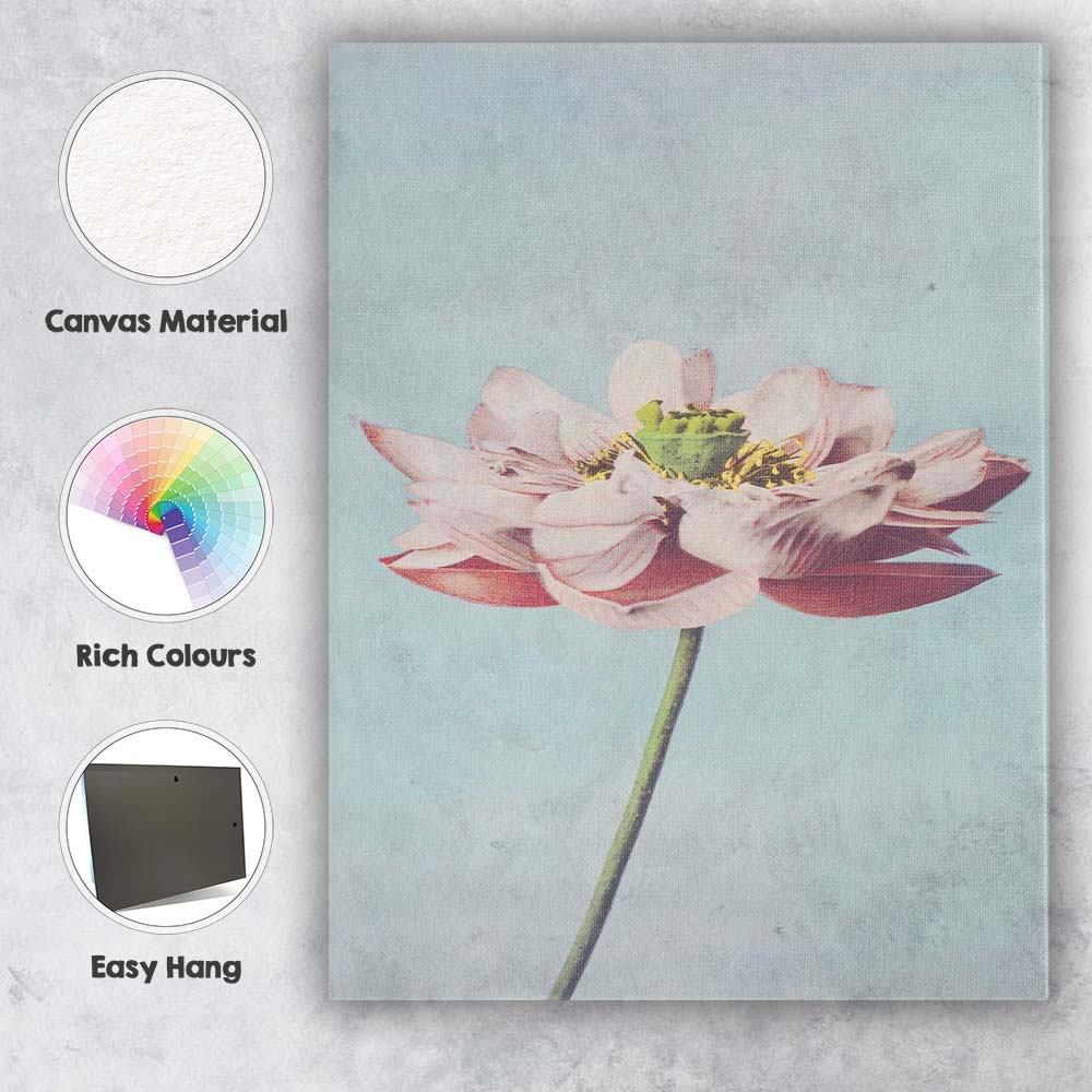 Minimal White Lotus Flower Sky Blue Botanical Photography Canvas Wall Art Print Decor Picture Ready to Hang