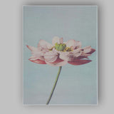 Minimal White Lotus Flower Sky Blue Botanical Photography Canvas Wall Art Print Decor Picture Ready to Hang