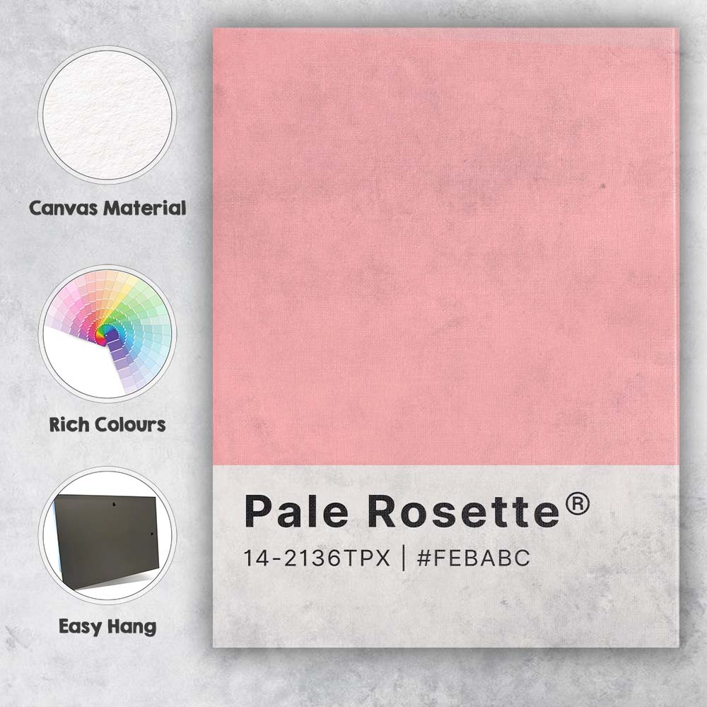 Pale Rosette Pink Colour Swatch Minimal Modern Design Canvas Wall Art Print Decor Picture Ready to Hang