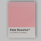 Pale Rosette Pink Colour Swatch Minimal Modern Design Canvas Wall Art Print Decor Picture Ready to Hang