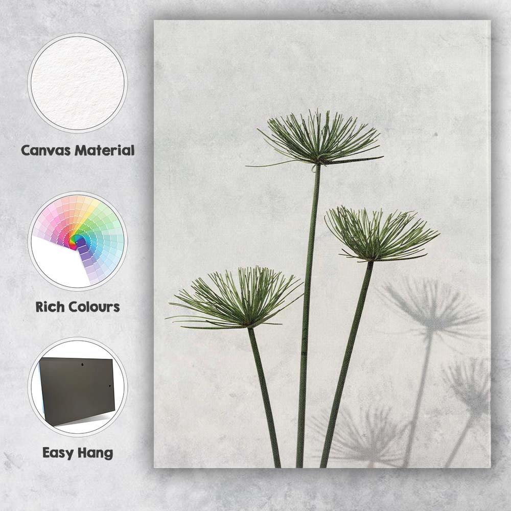 Minimalist Green Papyrus Reed Botanical Shadow Photography Canvas Wall Art Print Decor Picture Ready to Hang