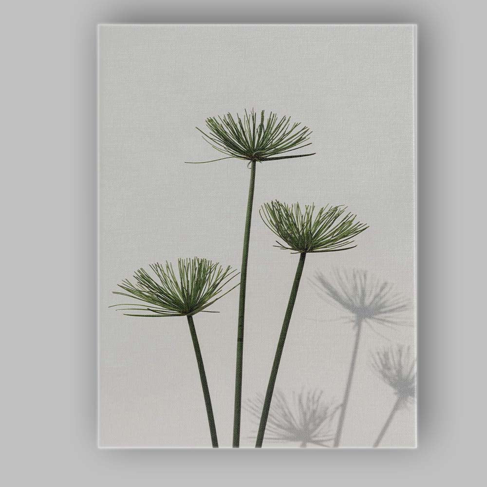 Minimalist Green Papyrus Reed Botanical Shadow Photography Canvas Wall Art Print Decor Picture Ready to Hang