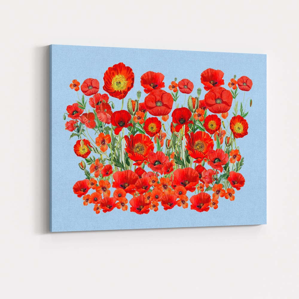 Vibrant Red Poppy Wildflower Botanical Garden Illustration Canvas Wall Art Print Decor Picture Ready to Hang