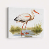 Elegant White Stork Wetland Wildlife Bird Illustration Canvas Wall Art Print Decor Picture Ready to Hang