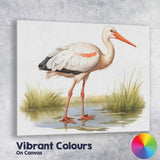 Elegant White Stork Wetland Wildlife Bird Illustration Canvas Wall Art Print Decor Picture Ready to Hang