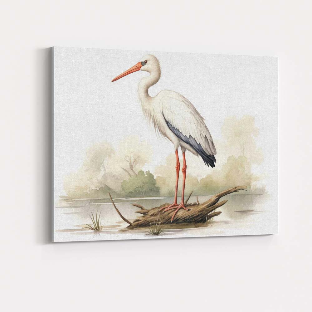 Graceful White Stork Standing on Driftwood Nature Illustration Canvas Wall Art Print Decor Picture Ready to Hang