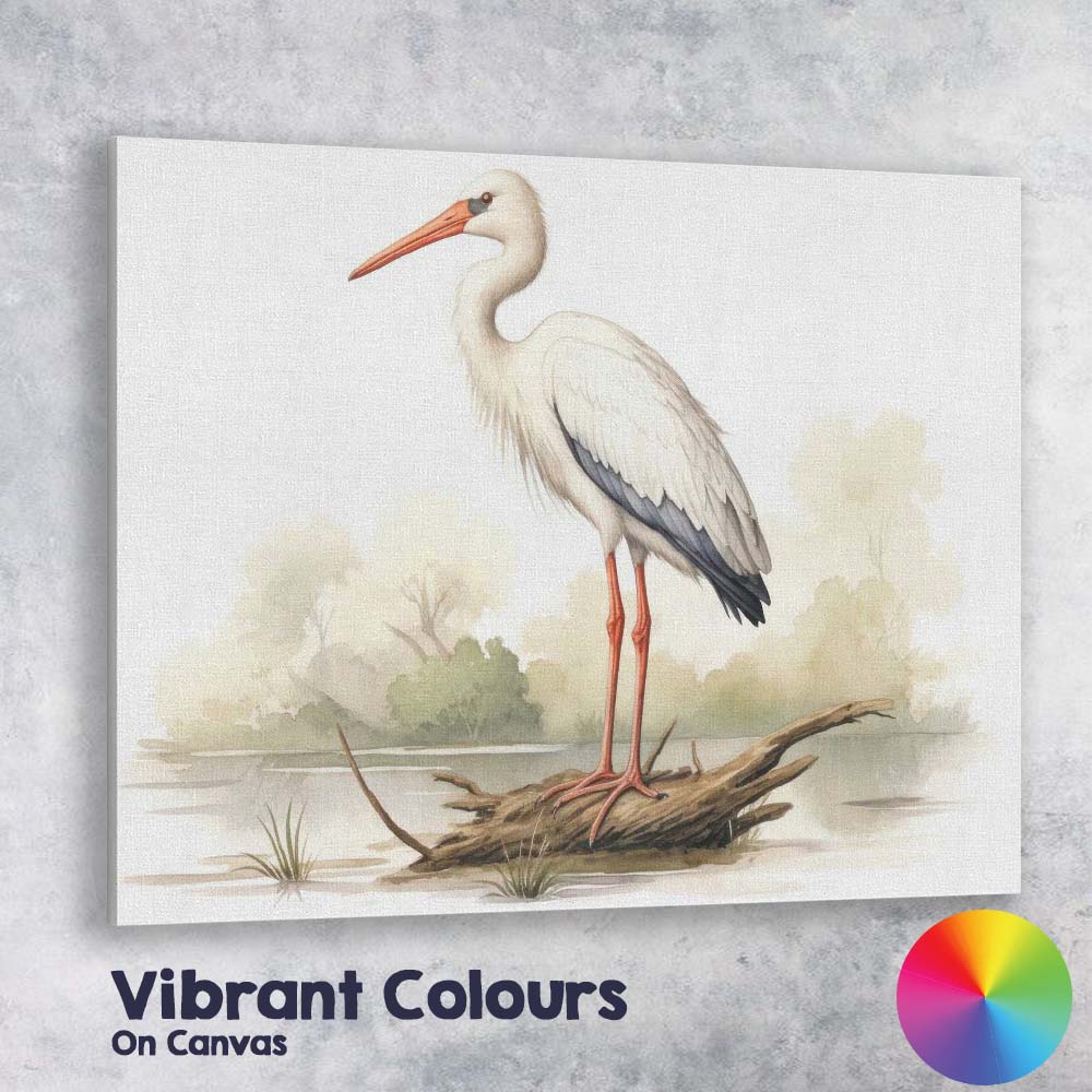 Graceful White Stork Standing on Driftwood Nature Illustration Canvas Wall Art Print Decor Picture Ready to Hang