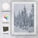 Snow Covered Evergreen Winter Forest Photography Canvas Wall Art Print Decor Picture Ready to Hang