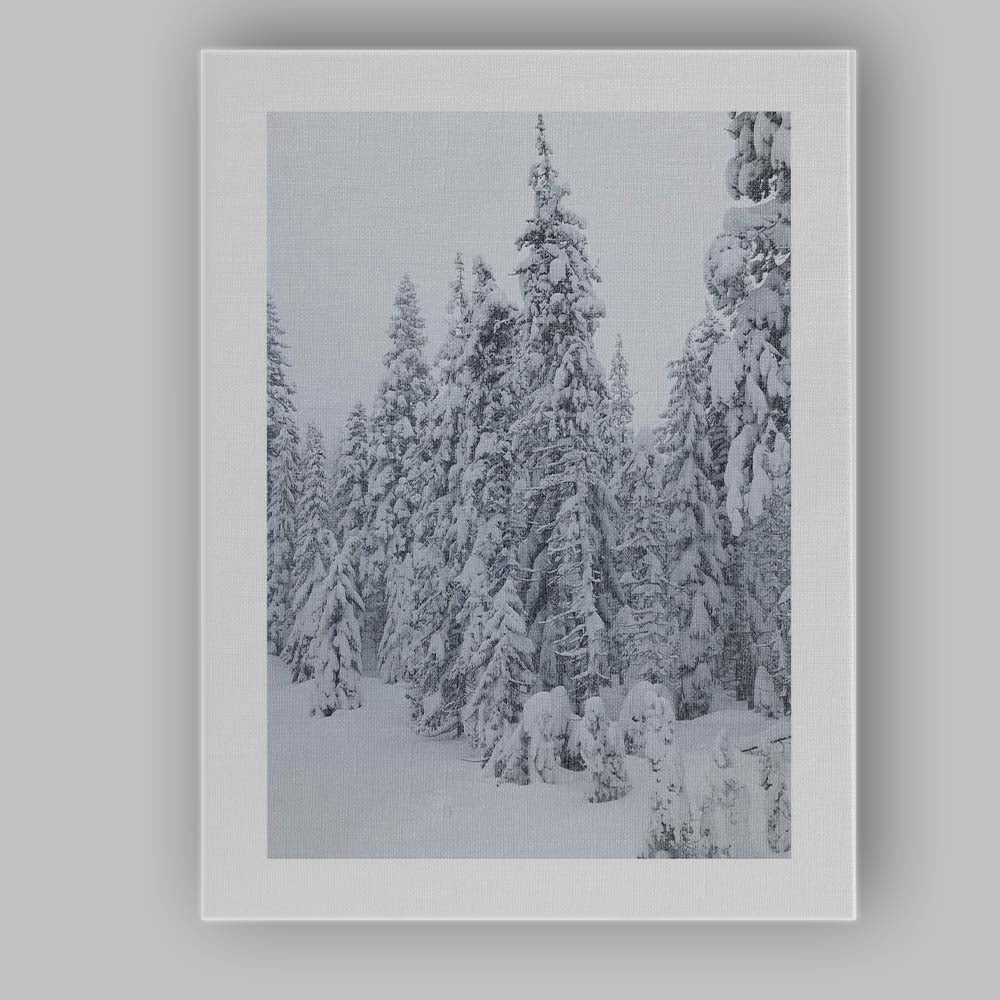 Snow Covered Evergreen Winter Forest Photography Canvas Wall Art Print Decor Picture Ready to Hang