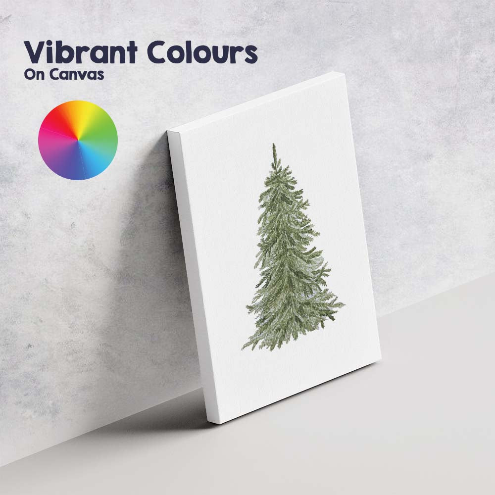 Realistic Watercolour Evergreen Fir Tree Botanical Illustration Canvas Wall Art Print Decor Picture Ready to Hang