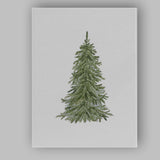Realistic Watercolour Evergreen Fir Tree Botanical Illustration Canvas Wall Art Print Decor Picture Ready to Hang