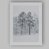 Snow Covered Winter Woodland Forest Photography Canvas Wall Art Print Decor Picture Ready to Hang