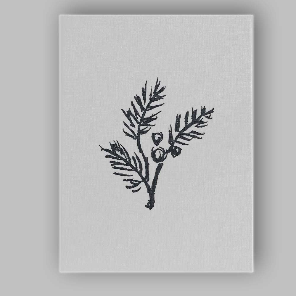 Minimalist Winter Pine Branch Botanical Line Art Canvas Wall Art Print Decor Picture Ready to Hang