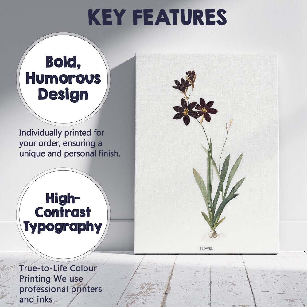 Dark Chocolate Cosmos Botanical Illustration Floral Canvas Wall Art Print Decor Picture Ready to Hang