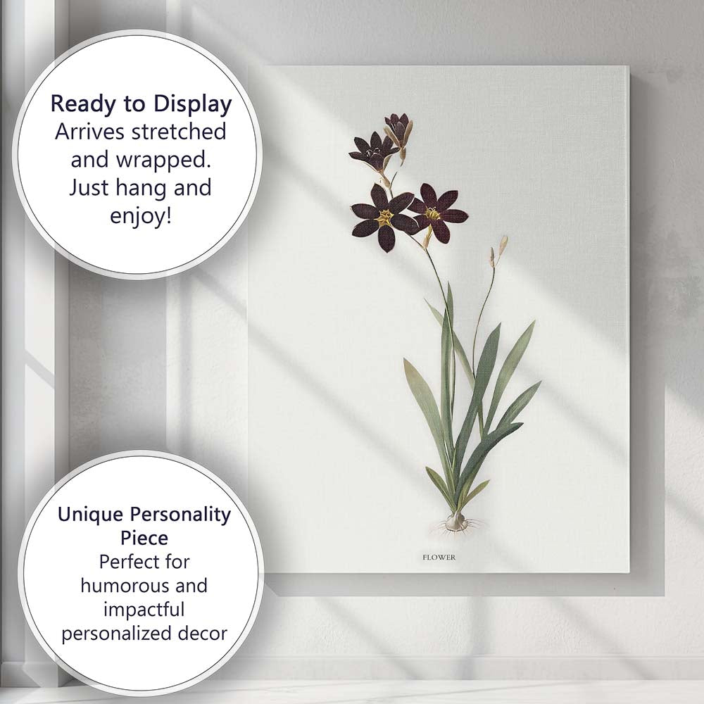 Dark Chocolate Cosmos Botanical Illustration Floral Canvas Wall Art Print Decor Picture Ready to Hang