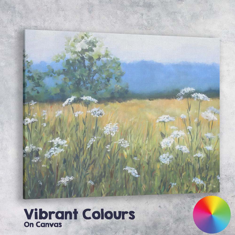 Soft Summer Cow Parsley Wildflower Meadow Landscape Canvas Wall Art Print Decor Picture Ready to Hang