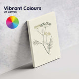 Minimal Botanical Wild Fennel Herb Illustration Canvas Wall Art Print Decor Picture Ready to Hang