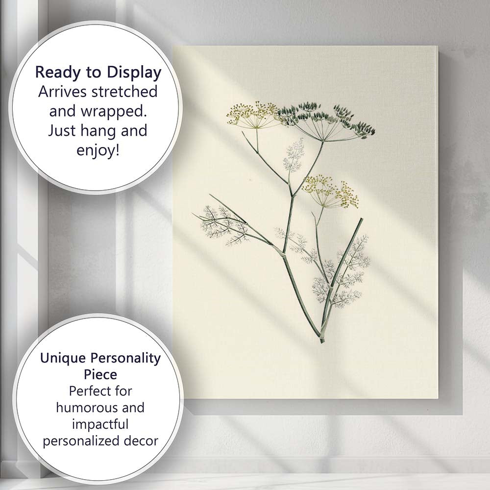 Minimal Botanical Wild Fennel Herb Illustration Canvas Wall Art Print Decor Picture Ready to Hang