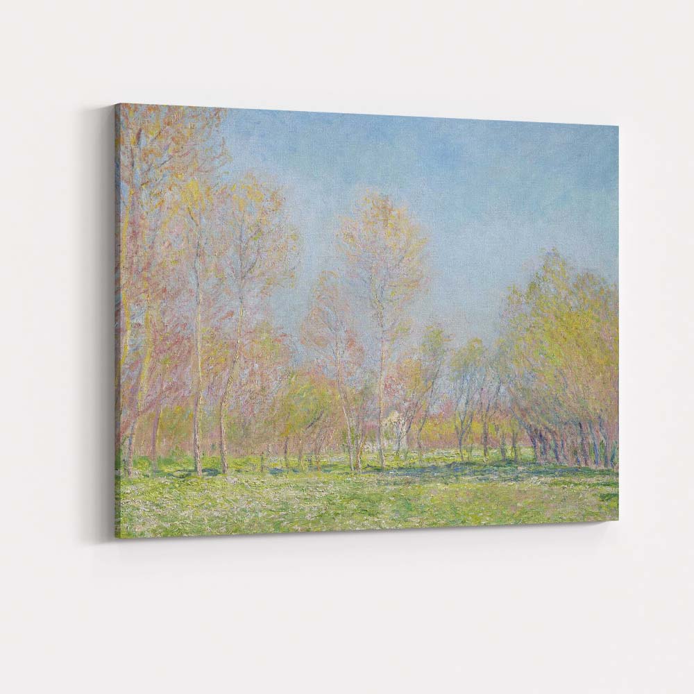 Soft Pastel Spring Woodland Sunlight Trees Landscape Canvas Wall Art Print Decor Picture Ready to Hang