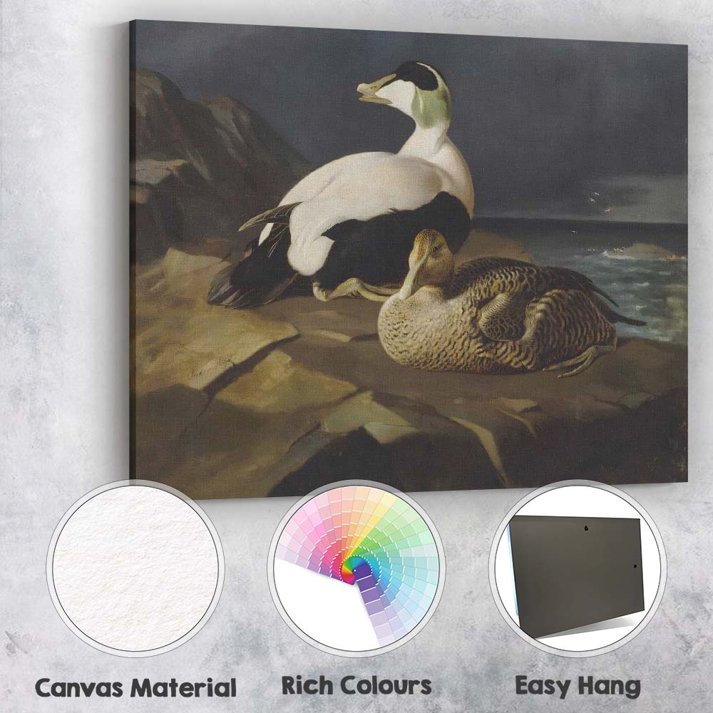 Realistic Eider Duck Pair Coastal Wildlife Painting Canvas Wall Art Print Decor Picture Ready to Hang