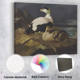 Realistic Eider Duck Pair Coastal Wildlife Painting Canvas Wall Art Print Decor Picture Ready to Hang