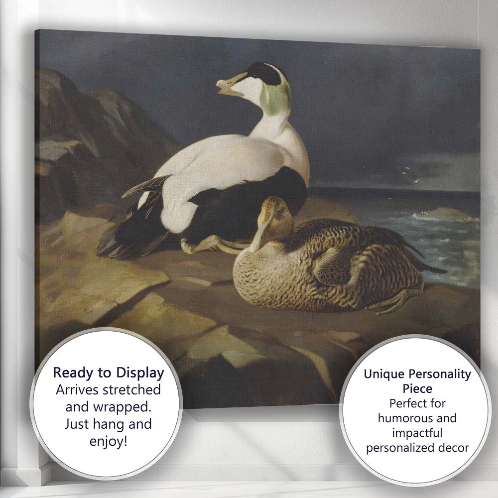 Realistic Eider Duck Pair Coastal Wildlife Painting Canvas Wall Art Print Decor Picture Ready to Hang