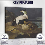 Realistic Eider Duck Pair Coastal Wildlife Painting Canvas Wall Art Print Decor Picture Ready to Hang