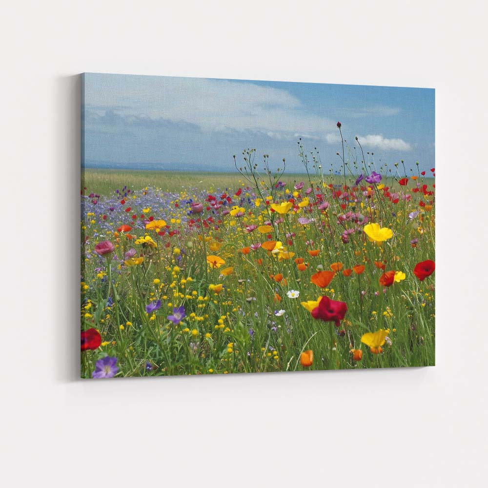 Colourful Wildflower Meadow Spring Field Landscape Canvas Wall Art Print Decor Picture Ready to Hang