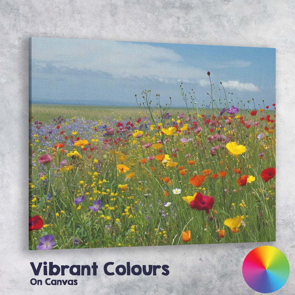 Colourful Wildflower Meadow Spring Field Landscape Canvas Wall Art Print Decor Picture Ready to Hang