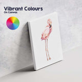 Pink Flamingo Bird Illustration Canvas Wall Art Print Decor Picture Ready to Hang