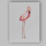 Pink Flamingo Bird Illustration Canvas Wall Art Print Decor Picture Ready to Hang