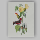 Red Bird Yellow Flower Botanical Canvas Wall Art Print Decor Picture Ready to Hang