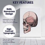 Pink Anatomical Skull Illustration Canvas Wall Art Print Decor Picture Ready to Hang